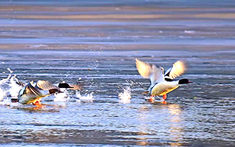 028aa6b1-81c6-4da4-866b-026dfa0891d4.jpg 028aa6b1-81c6-4da4-866b-026dfa0891d4.jpg