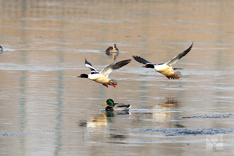 23e4401c-786e-4ce2-a848-18d187e27690.jpg 23e4401c-786e-4ce2-a848-18d187e27690.jpg