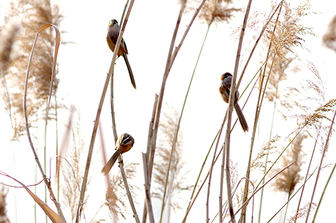 7bbf12e9-51af-48a7-a409-123957641403.jpg 7bbf12e9-51af-48a7-a409-123957641403.jpg