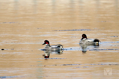 3e63c998-3970-40a6-ba4a-87b654a23b61.jpg 3e63c998-3970-40a6-ba4a-87b654a23b61.jpg