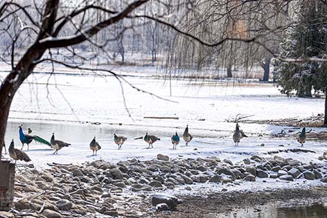 6833b817-ae89-4e7f-91db-ce4dca7d97e1.jpg 6833b817-ae89-4e7f-91db-ce4dca7d97e1.jpg