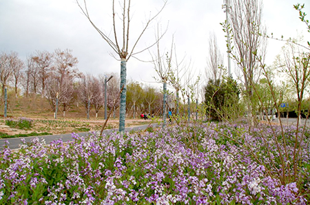 91193fce-f3c3-4ce4-9449-905e2781bcc0.jpg 91193fce-f3c3-4ce4-9449-905e2781bcc0.jpg