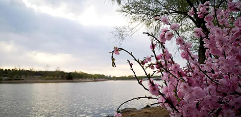 52023e9a-1796-4094-bcb3-3e698e8e23da.jpg 52023e9a-1796-4094-bcb3-3e698e8e23da.jpg