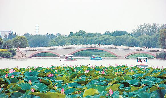 image004.jpg image004.jpg