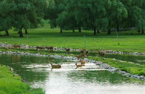 image008.jpg image008.jpg