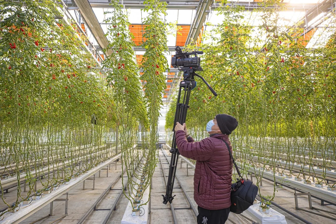 中外记者走进亦城创新行.webp (2).jpg