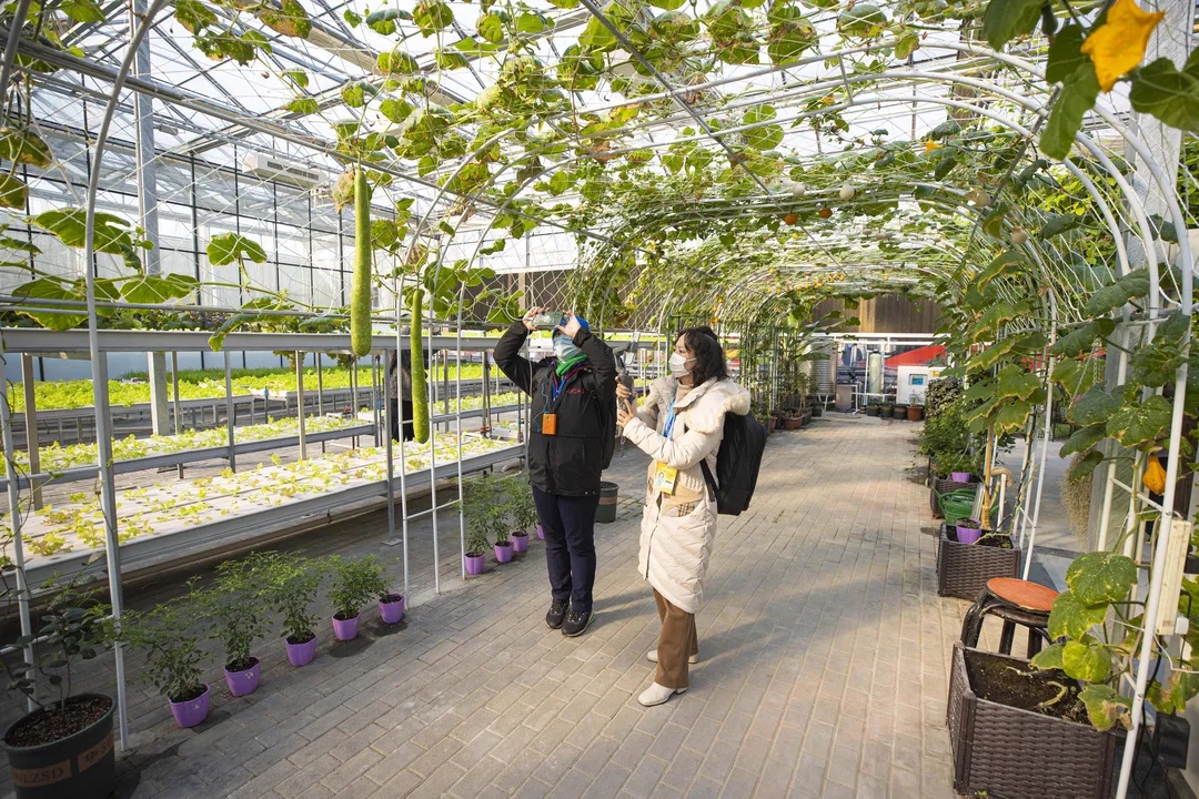 中外记者走进亦城创新行.webp (3).jpg