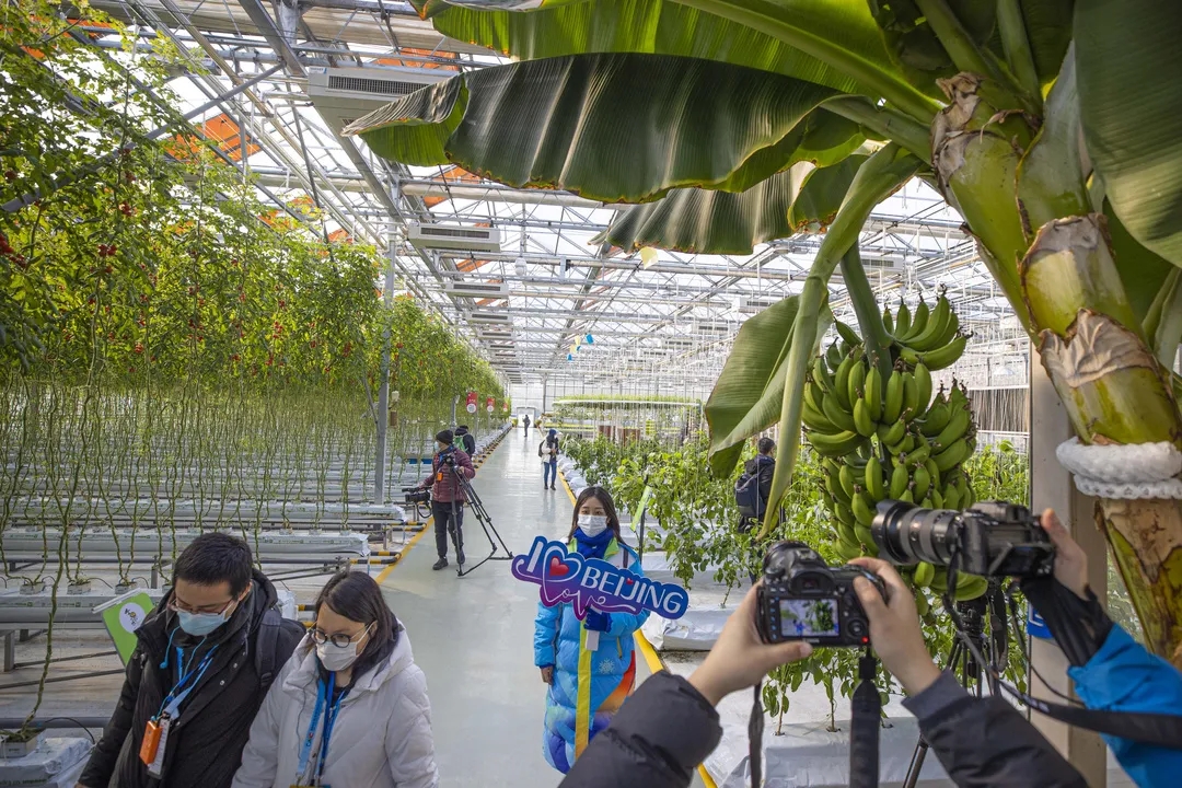 中外记者走进亦城创新行.webp (4).jpg