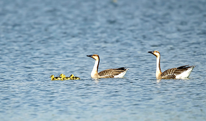 ff48aa52-76dd-4a95-8e57-2001f723e3e2.jpg ff48aa52-76dd-4a95-8e57-2001f723e3e2.jpg