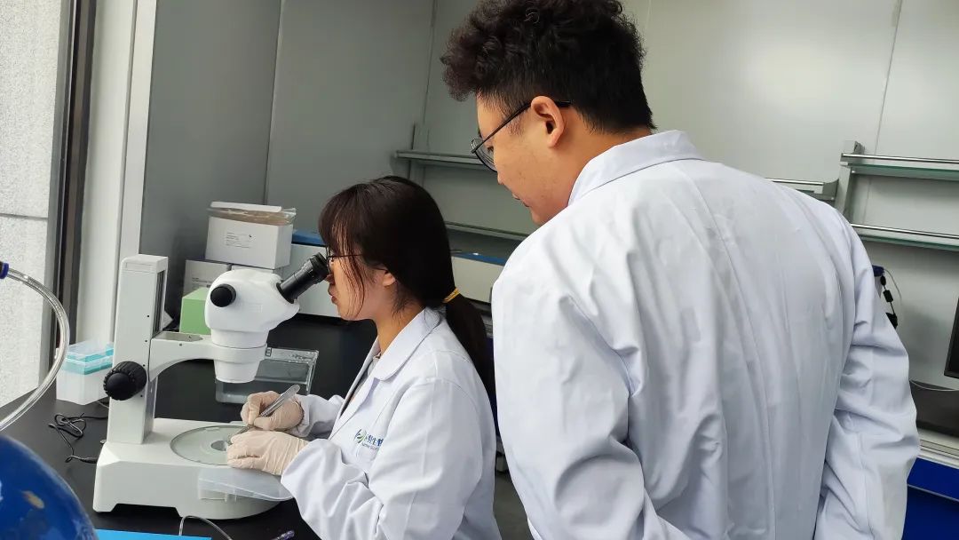 从单向冠军到多域翘楚!看“一条鱼”如何成就一个高新技术企业.jpg 从单向冠军到多域翘楚!看“一条鱼”如何成就一个高新技术企业.jpg