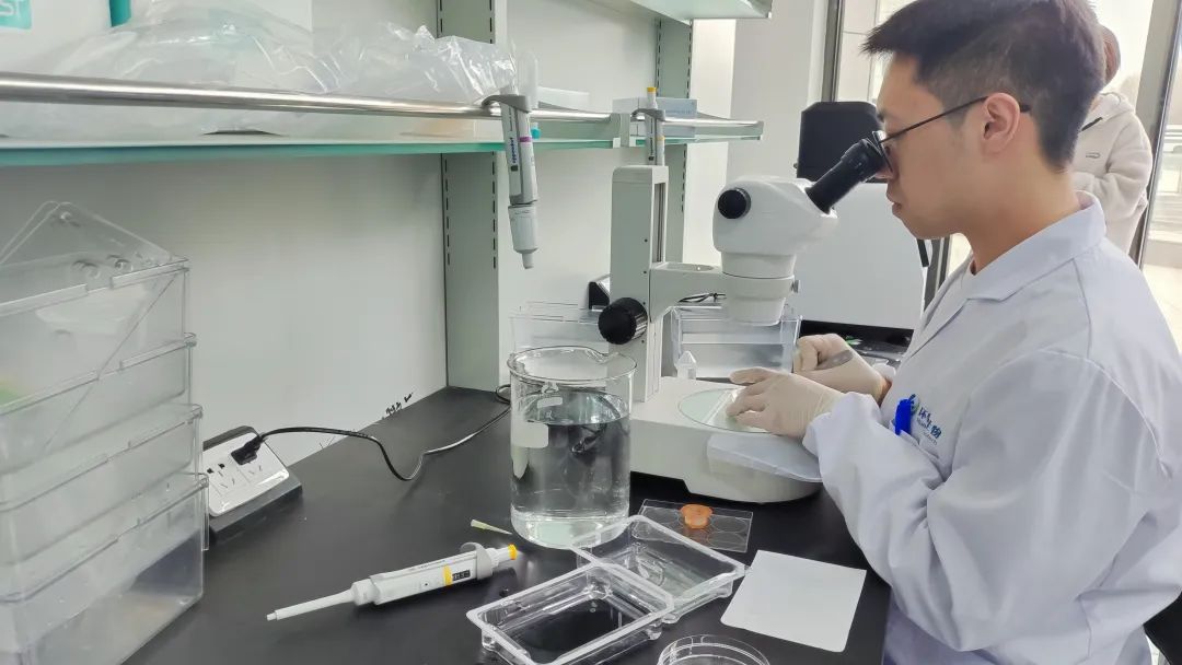 从单向冠军到多域翘楚!看“一条鱼”如何成就一个高新技术企业2.jpg 从单向冠军到多域翘楚!看“一条鱼”如何成就一个高新技术企业2.jpg