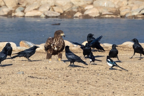 20240110_004_8569.jpg 20240110_004_8569.jpg