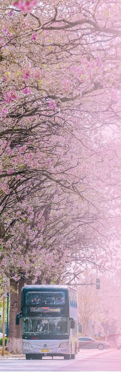 20240408_005_44794.jpg 20240408_005_44794.jpg