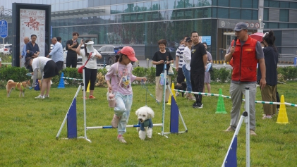 经开区举办公共文明引导之文明养犬活动.jpg 经开区举办公共文明引导之文明养犬活动.jpg