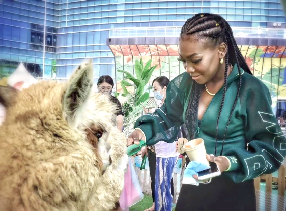 “洋导游”带你暑期游亦城2.jpg “洋导游”带你暑期游亦城2.jpg