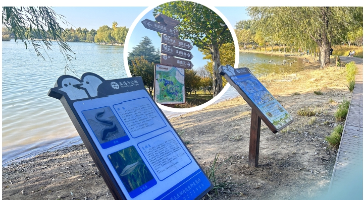 南海子公园2000余个标识标牌“焕新”.jpg 南海子公园2000余个标识标牌“焕新”.jpg