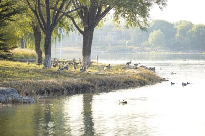 两年新增15种 经开区“鹏”友圈再扩大1.jpg