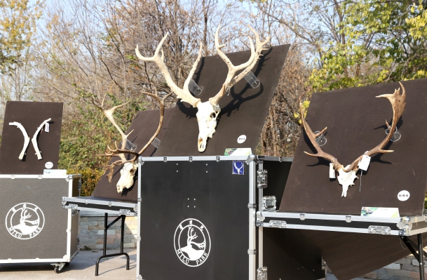 麋鹿国家保护研究中心揭牌成立.jpg 麋鹿国家保护研究中心揭牌成立.jpg