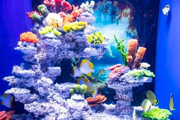 亦城新地标龙玥城正式启幕 (3).jpg