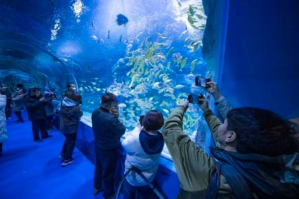 亦城新地标龙玥城正式启幕 (4).jpg