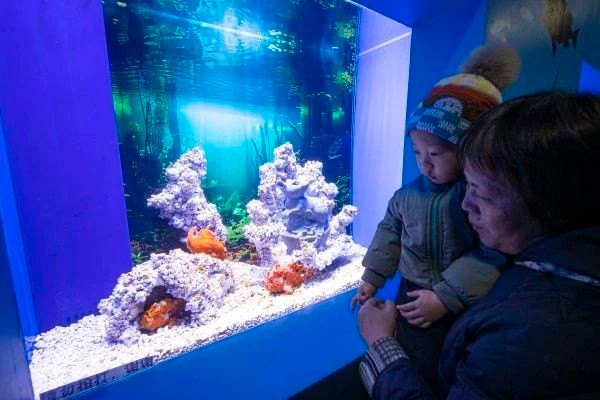 亦城新地标龙玥城正式启幕 (5).jpg