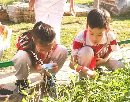 新书发布 学生自制 “校园植物手册”.jpg 新书发布 学生自制 “校园植物手册”.jpg