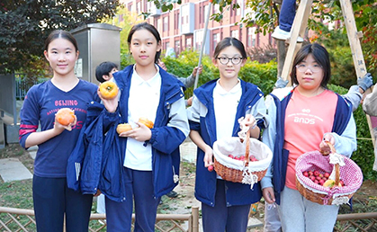 秋日劳动实践引导学生体悟耕耘与收获.jpg 秋日劳动实践引导学生体悟耕耘与收获.jpg