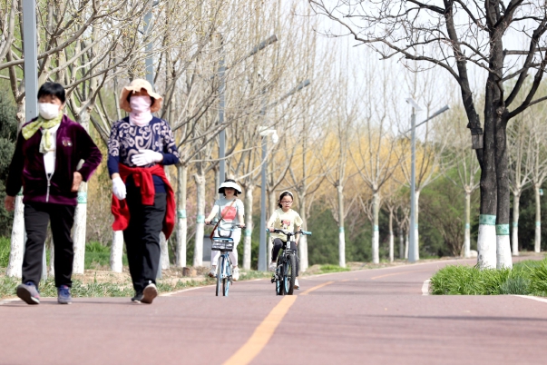 20221121_002_33095.jpg 20221121_002_33095.jpg