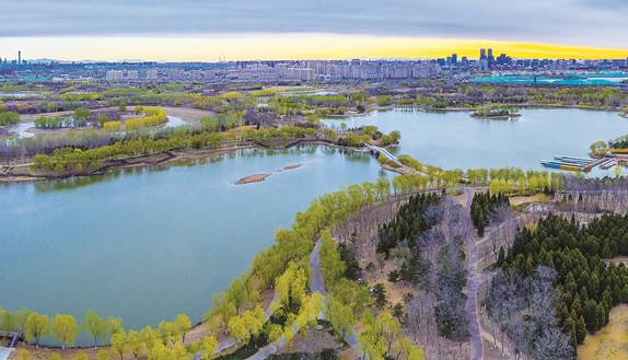 image002.jpg image002.jpg