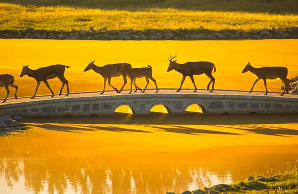 image006.jpg image006.jpg