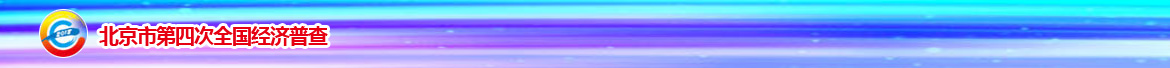 北京市第四次全国经济普查官网