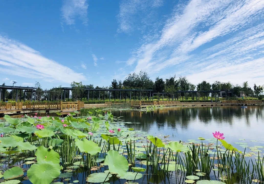 一声哨响,部门报到!党建引领企业高质量发展.webp (2).jpg 一声哨响,部门报到!党建引领企业高质量发展.webp (2).jpg