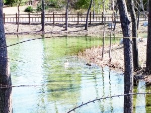 wKgIi15lmymALEGCAAFc1ToLMC0708.jpg wKgIi15lmymALEGCAAFc1ToLMC0708.jpg