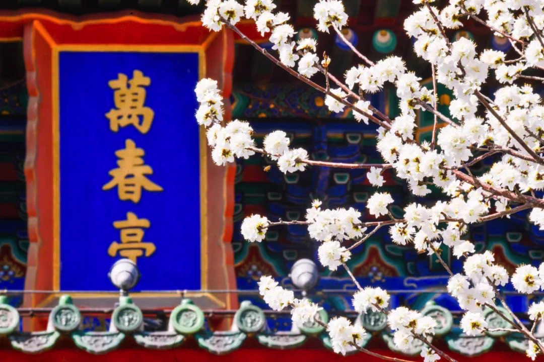 wKgIi16EVDSARsczAAPixYHrK6M403.jpg wKgIi16EVDSARsczAAPixYHrK6M403.jpg