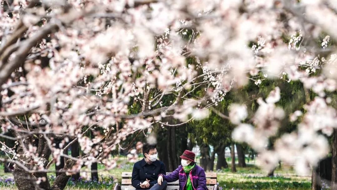 wKgIi16FW6OAWXh-AAHFyT5aDPk466.jpg wKgIi16FW6OAWXh-AAHFyT5aDPk466.jpg