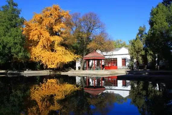 wKgIjF8WaxiAV3MHAADR13BqvfI889.jpg wKgIjF8WaxiAV3MHAADR13BqvfI889.jpg