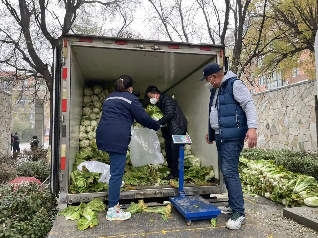 备货20万斤，点对点闭环配送！冬储菜进社区保障居民“菜篮子”3.jpg