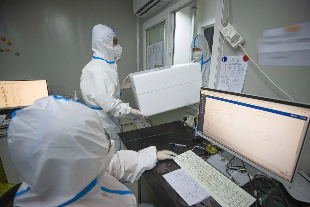 记者探访实验室！揭秘核酸检测报告出炉全过程2.jpg