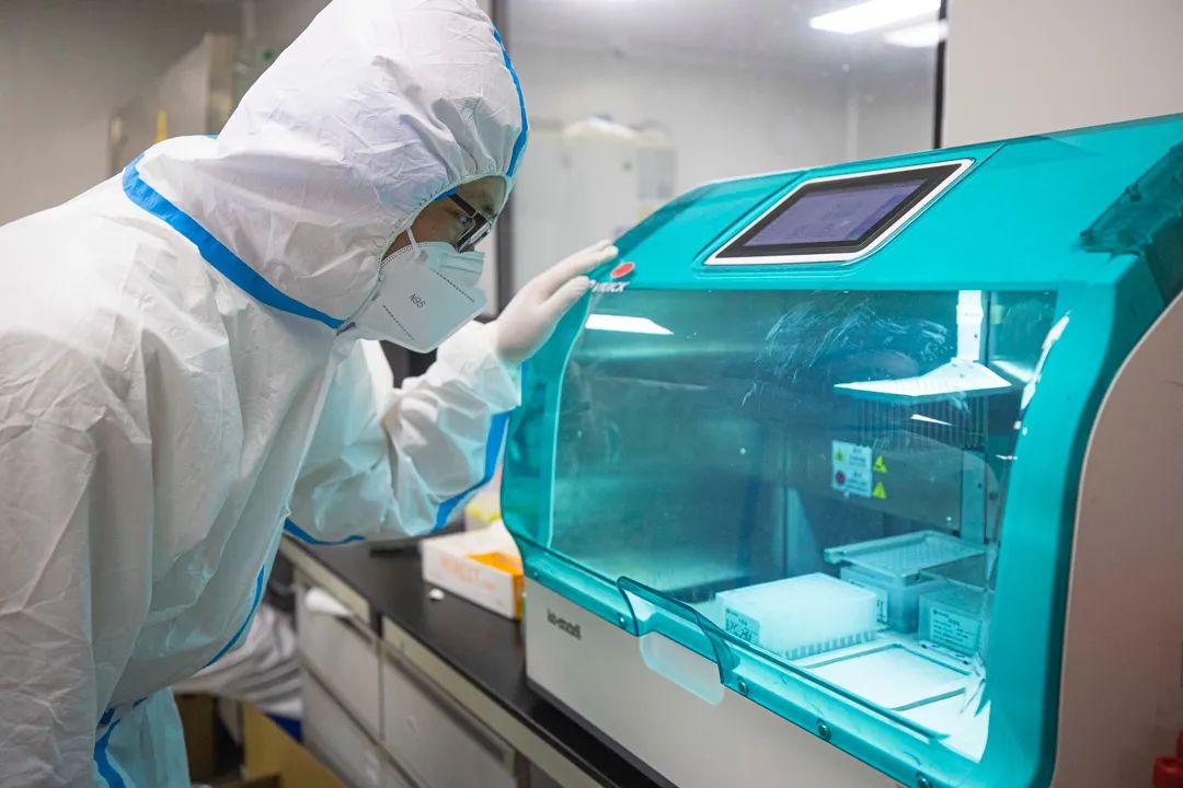 记者探访实验室！揭秘核酸检测报告出炉全过程9.jpg