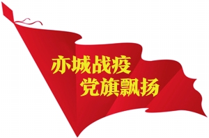 亦城战疫 党旗飘扬.jpg 亦城战疫 党旗飘扬.jpg