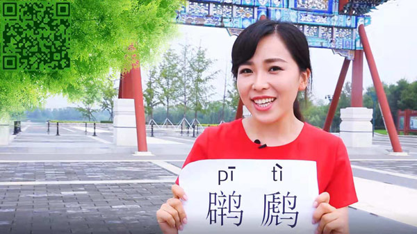 扫一下，感受亦庄之旅