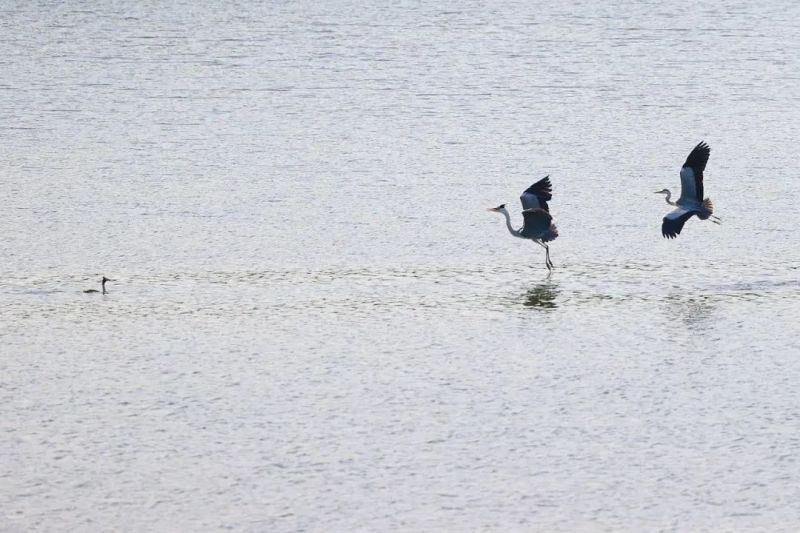 “1万亿”的托举！在全面深化改革中看见亦庄机遇 (6).jpg