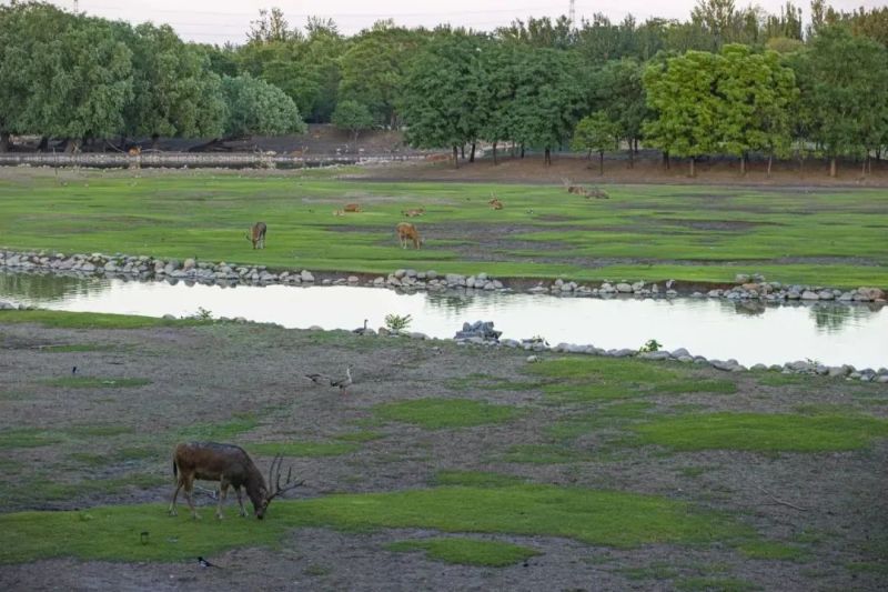 “1万亿”的托举！在全面深化改革中看见亦庄机遇 (7).jpg