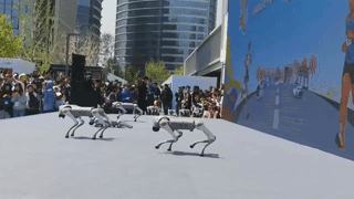 “亦马当先”赛事+体系赋能“国际赛事名城”建设新生态 (1).GIF