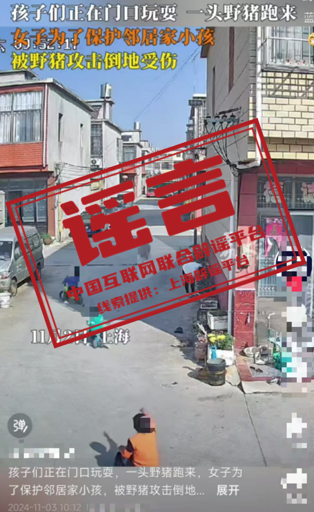 上海市郊发生“野猪攻击人”事件?.png 上海市郊发生“野猪攻击人”事件?.png