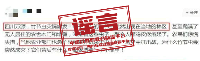 四川万源爆发竹节虫灾情?.png 四川万源爆发竹节虫灾情?.png