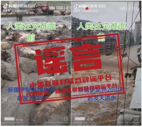 新疆伊犁霍城县山洪冲城造成大批牲畜死亡?.jpg 新疆伊犁霍城县山洪冲城造成大批牲畜死亡?.jpg