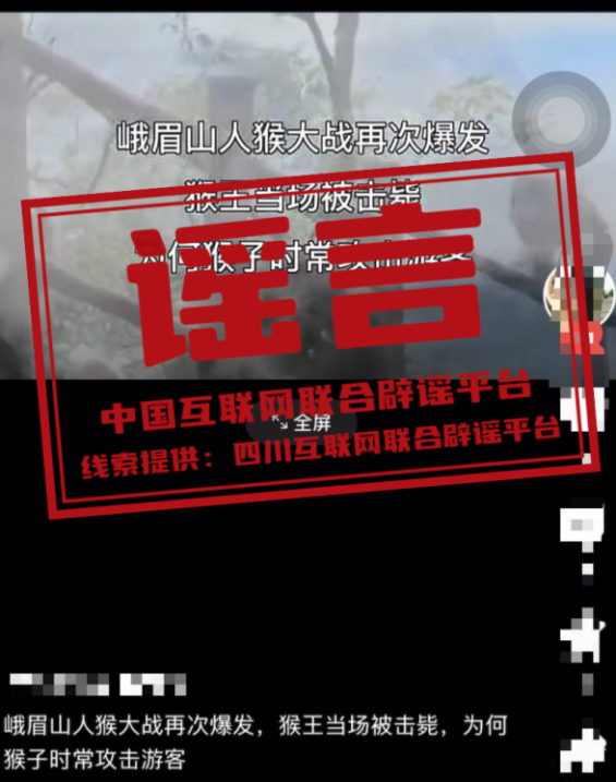 “四川峨眉山人猴大战,猴王被当场击毙”系谣言.png “四川峨眉山人猴大战,猴王被当场击毙”系谣言.png