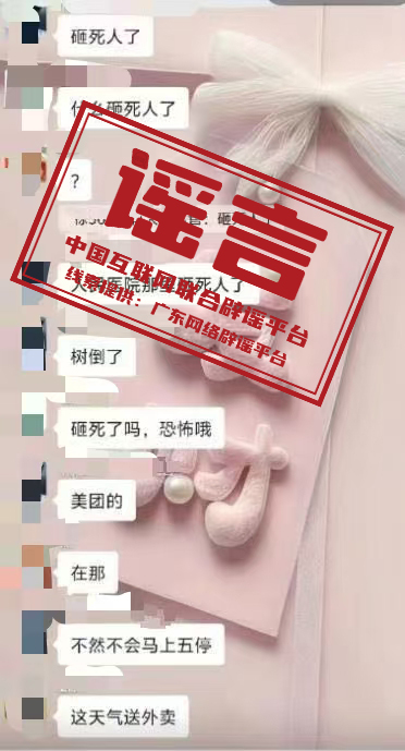 广东湛江受台风“麦德姆”影响全市停水?茂名一外卖员台风天遭树木砸死?.jpg 广东湛江受台风“麦德姆”影响全市停水?茂名一外卖员台风天遭树木砸死?.jpg