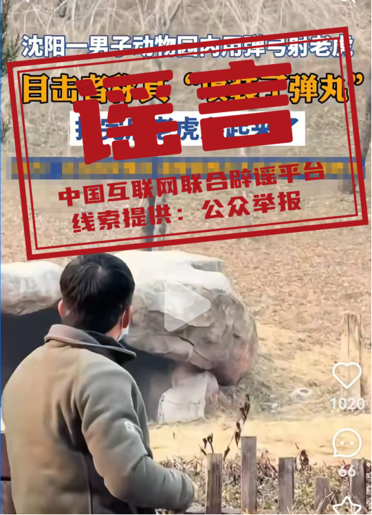 沈阳森林动物园一男子用弹弓射老虎?.png 沈阳森林动物园一男子用弹弓射老虎?.png